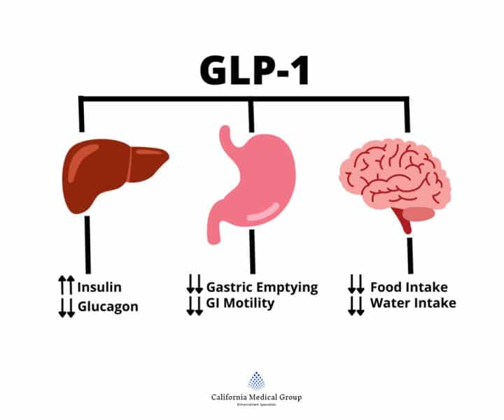 glp-1 preceded ozempic